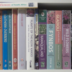 Books for Sale
